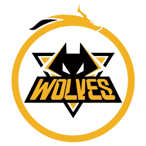 于他在后续 于他在后续